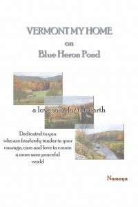 Vermont My Home on Blue Heron Pond eBook